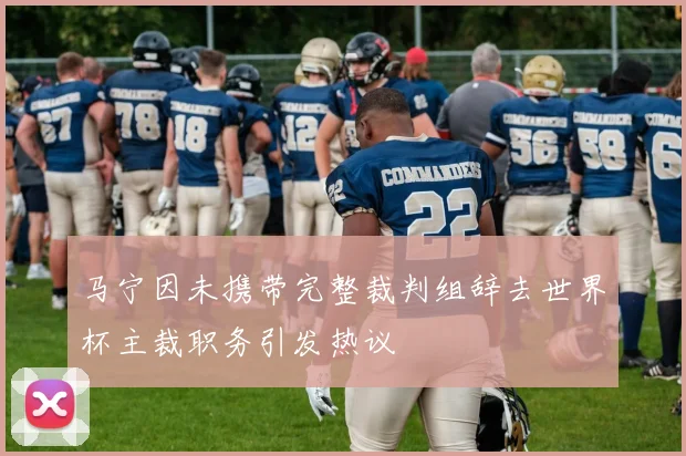 马宁因未携带完整裁判组辞去世界杯主裁职务引发热议