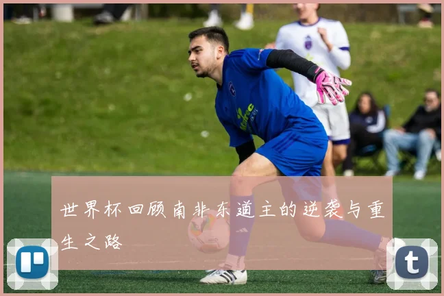 世界杯回顾南非东道主的逆袭与重生之路